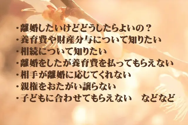 埼玉県ひとり親福祉連合会の「女性弁護士による無料法律相談」